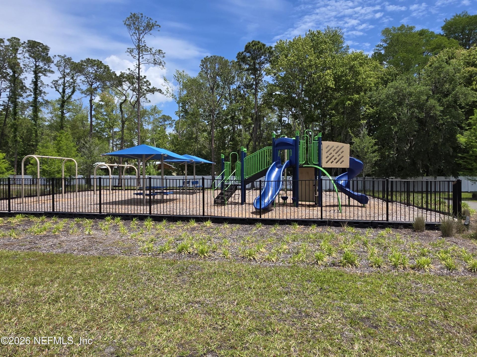 12339 Clapboard Bluff Trail, Jacksonville, FL 32226 Photo