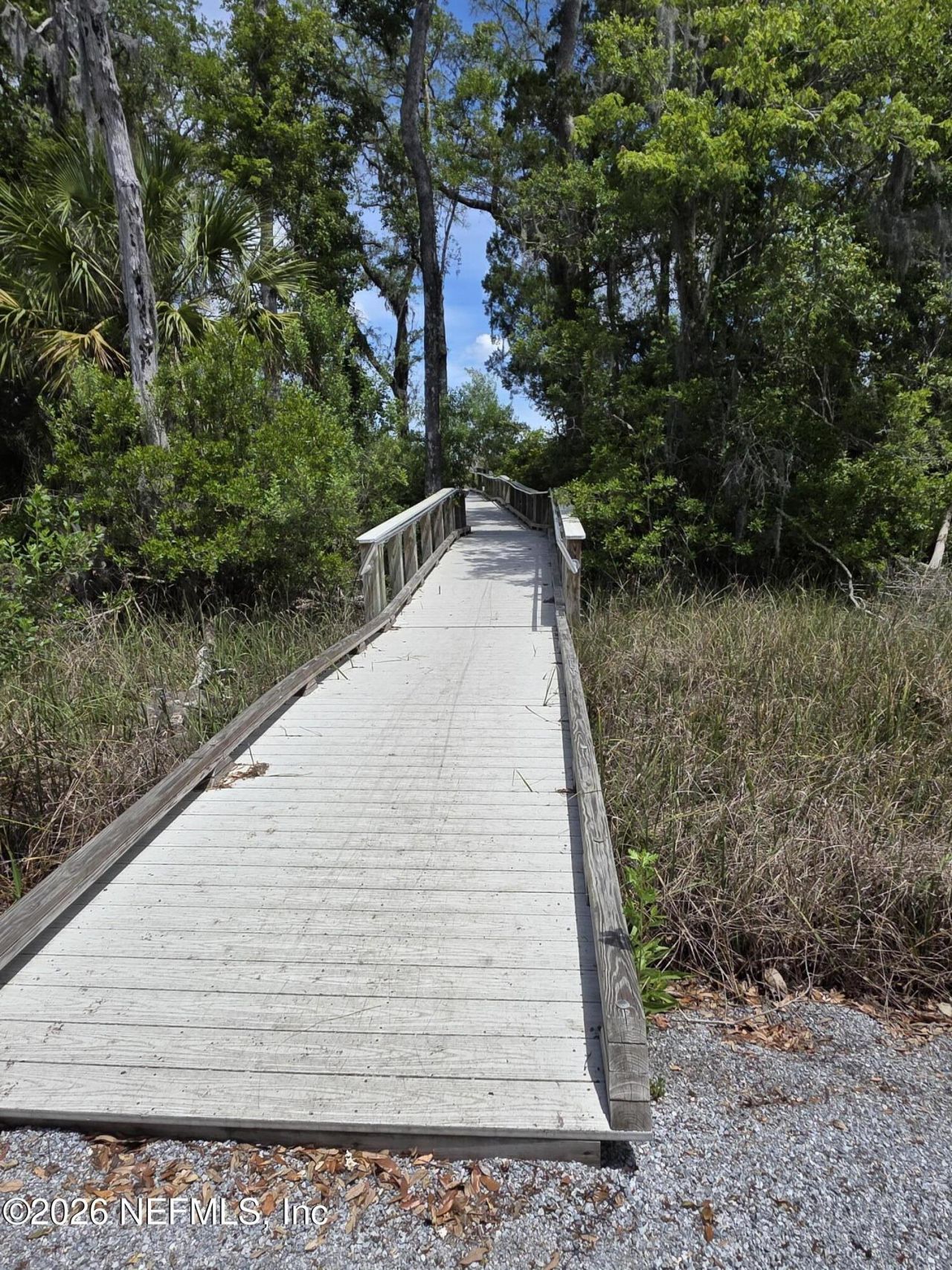 12339 Clapboard Bluff Trail, Jacksonville, FL 32226 Photo