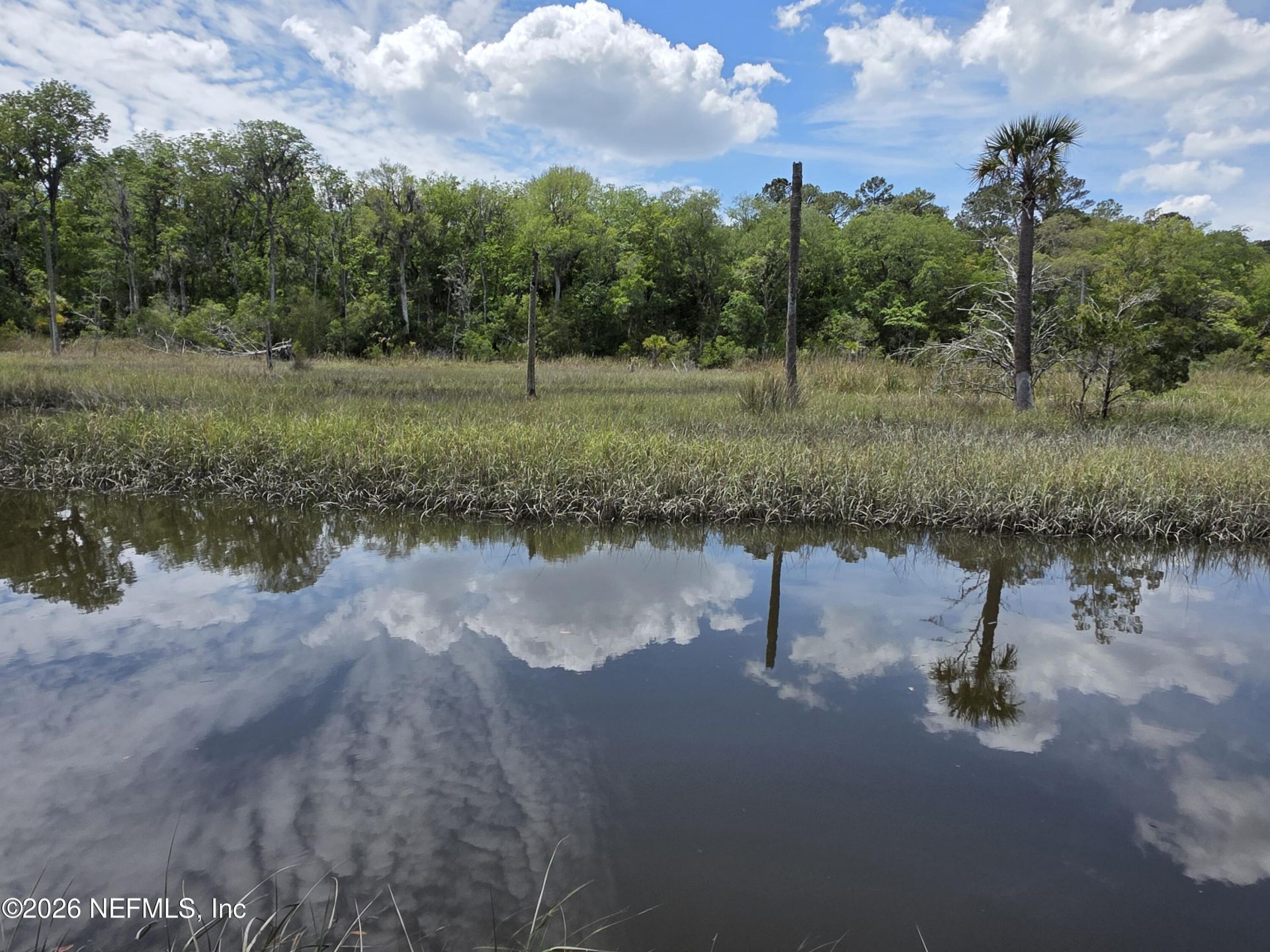 12339 Clapboard Bluff Trail, Jacksonville, FL 32226 Photo