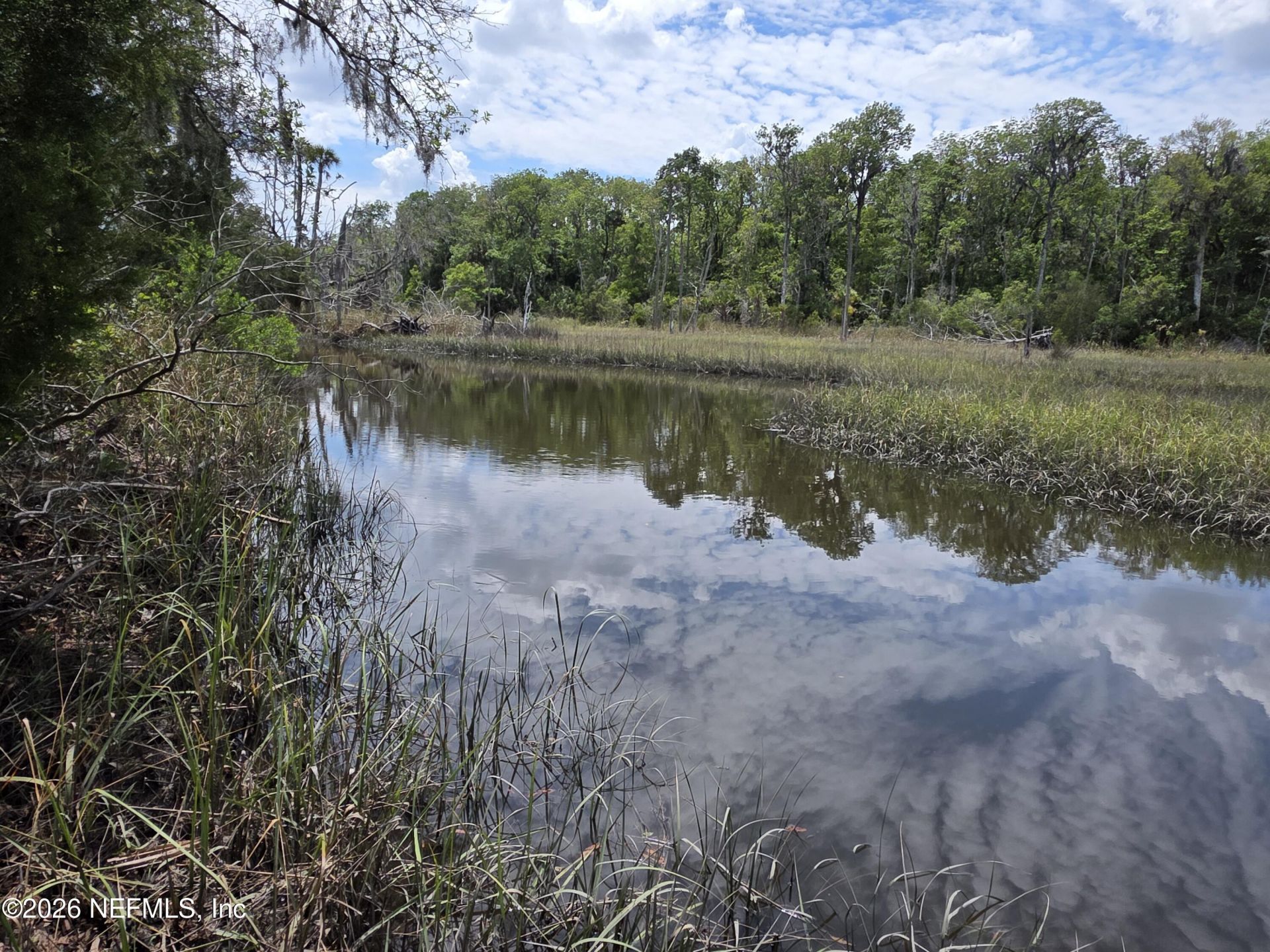 12339 Clapboard Bluff Trail, Jacksonville, FL 32226 Photo