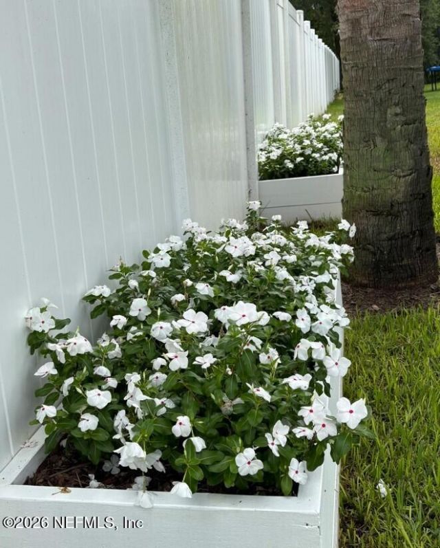 12339 Clapboard Bluff Trail, Jacksonville, FL 32226 Photo