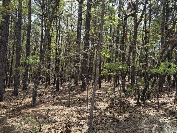 4 Brassie Lane , Foxfire Village, NC 27281