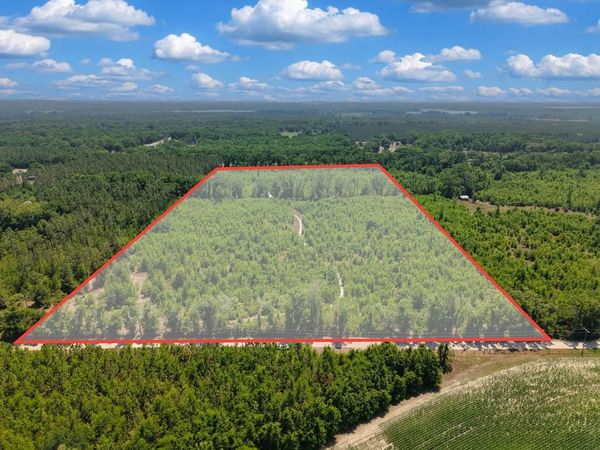 TBD 000 NE 998th Ave, Branford, FL 32008