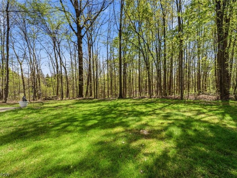 6216 Center Street, Mentor, OH 44060 Photo 30