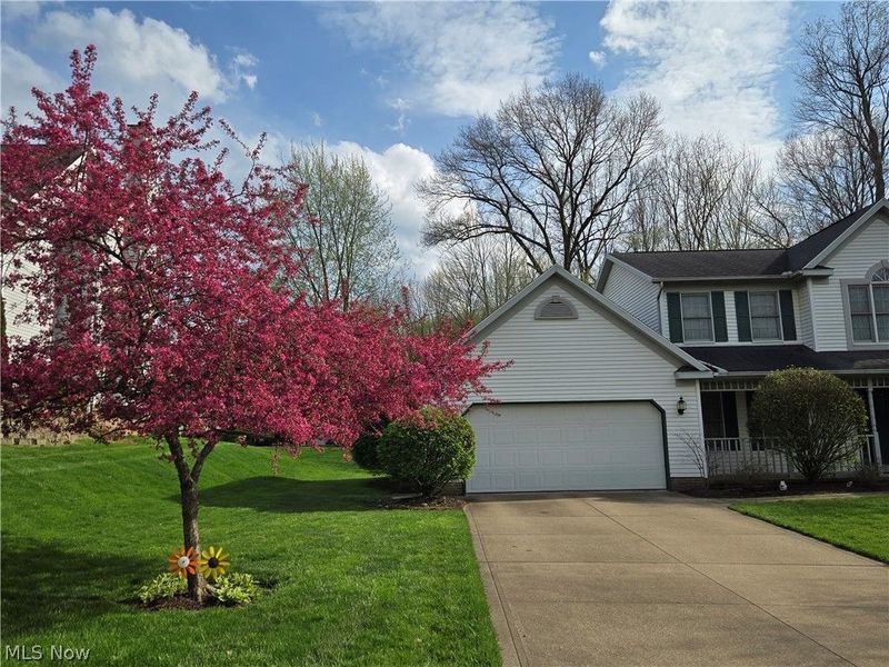 8708 Eastlynn Avenue NW, Massillon, OH 44646 Photo 6