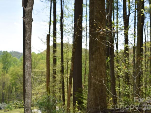 TBD Cabin Flats Road, Balsam, NC 28707