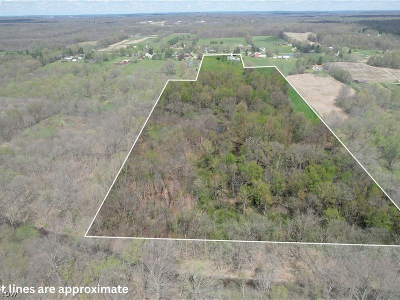 2948 Old Forge Road, Kent, OH 44240 Photo 15