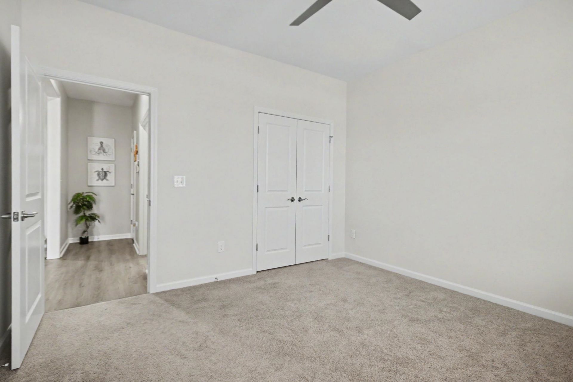 812 Hackberry Way  Photo 13