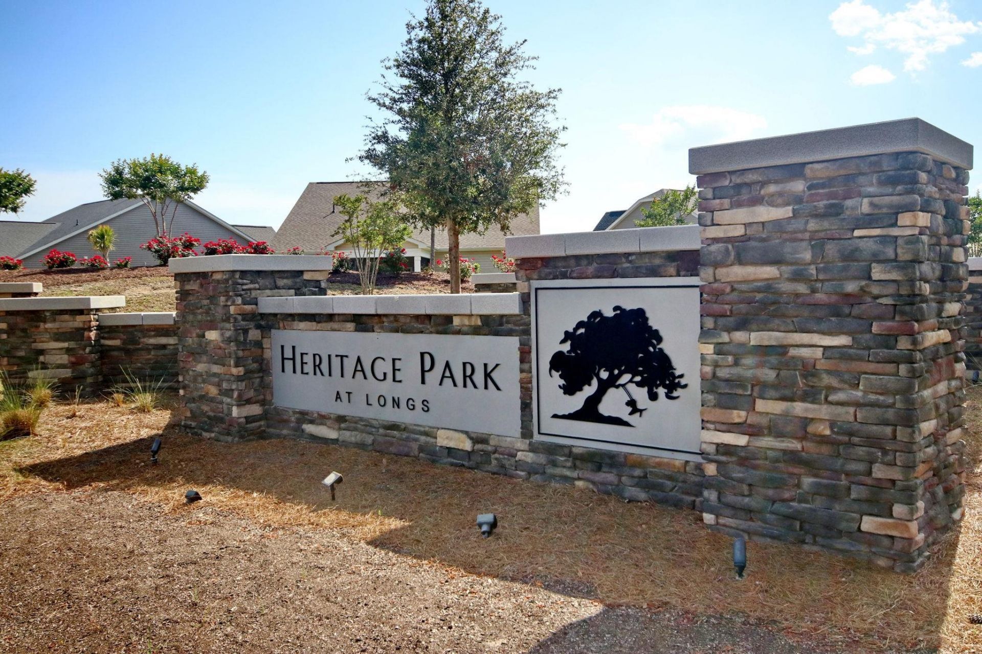 812 Hackberry Way  Photo 25