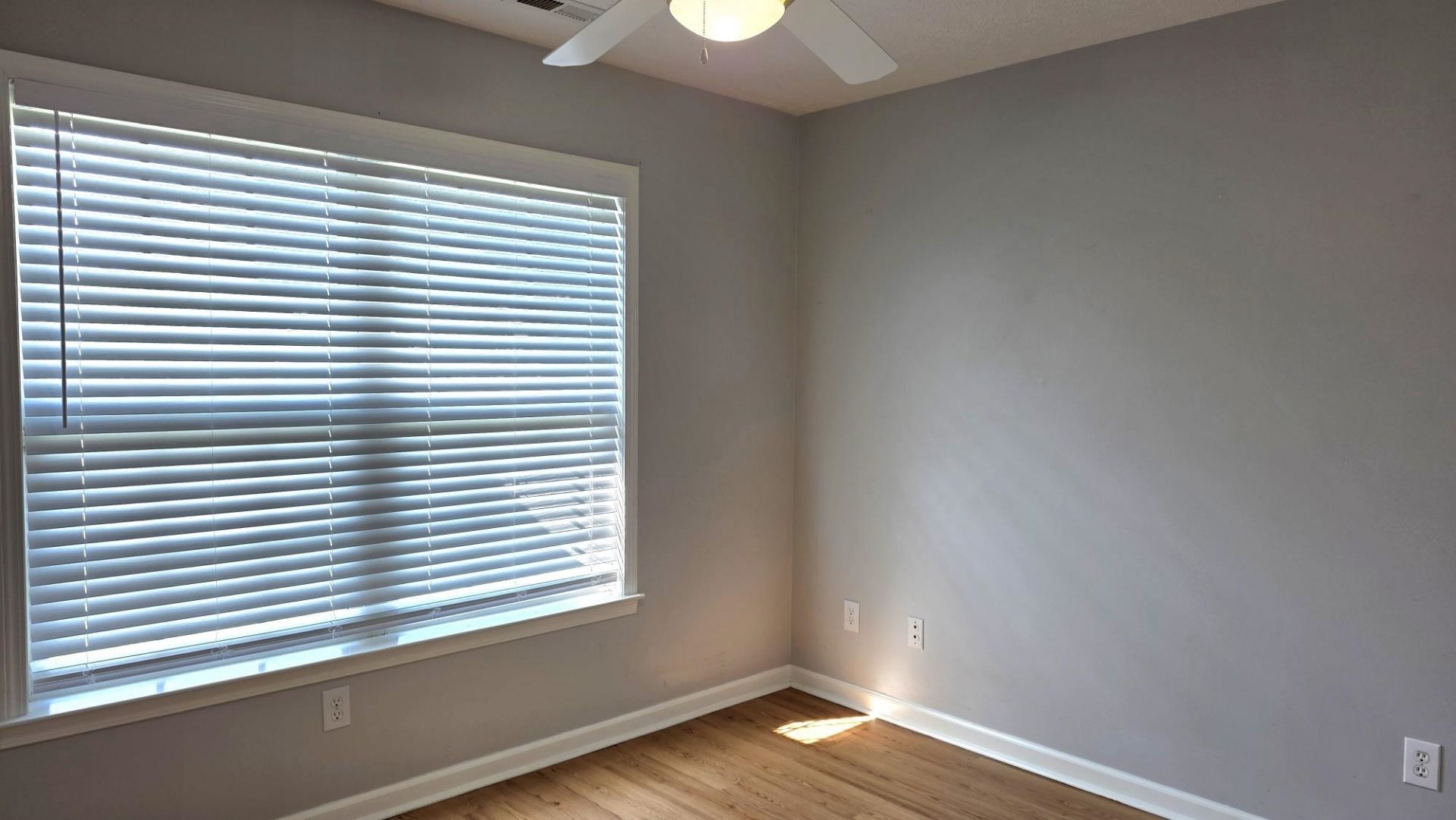 262 Tibton Circle Photo 33