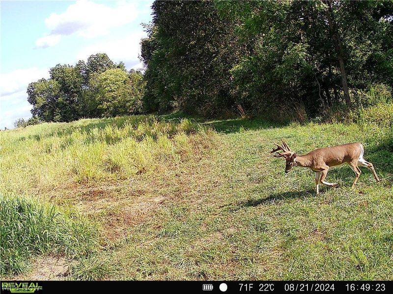 80960 Burkhart Road, Tippecanoe, OH 44699 Photo 14