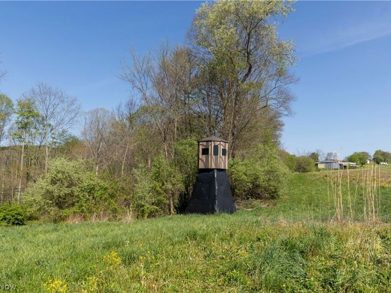 80960 Burkhart Road, Tippecanoe, OH 44699 Photo 2