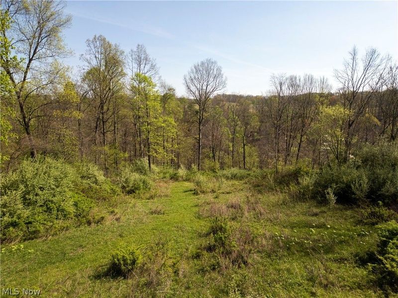 80960 Burkhart Road, Tippecanoe, OH 44699 Photo 21