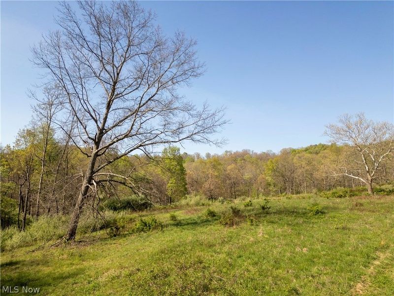 80960 Burkhart Road, Tippecanoe, OH 44699 Photo 22