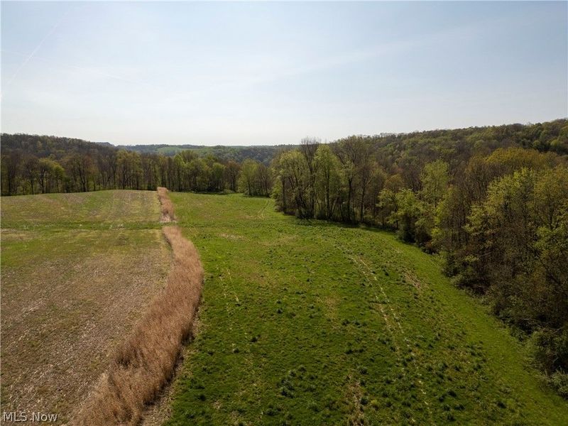 80960 Burkhart Road, Tippecanoe, OH 44699 Photo 26