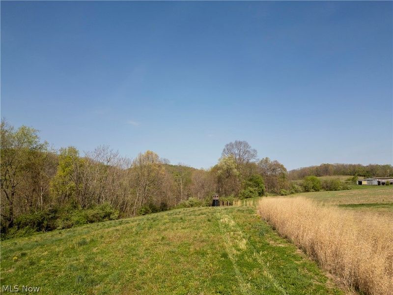 80960 Burkhart Road, Tippecanoe, OH 44699 Photo 29