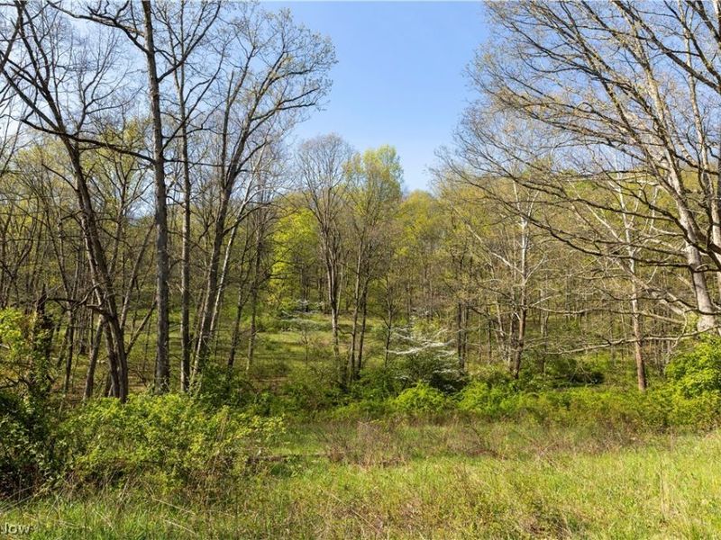 80960 Burkhart Road, Tippecanoe, OH 44699 Photo 30