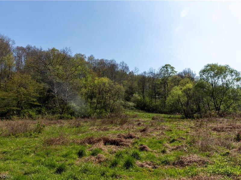 80960 Burkhart Road, Tippecanoe, OH 44699 Photo 31