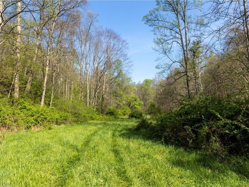80960 Burkhart Road, Tippecanoe, OH 44699 Photo 32
