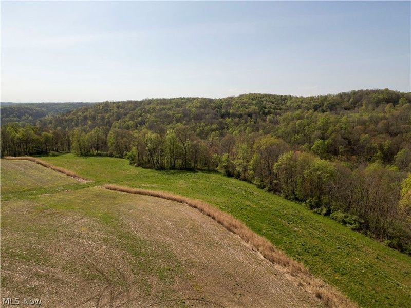 80960 Burkhart Road, Tippecanoe, OH 44699 Photo 33