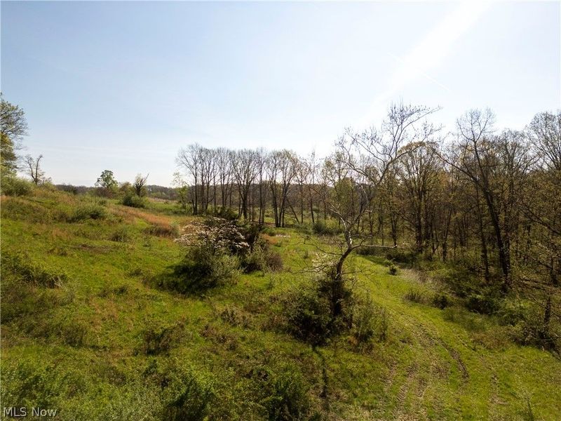 80960 Burkhart Road, Tippecanoe, OH 44699 Photo 4