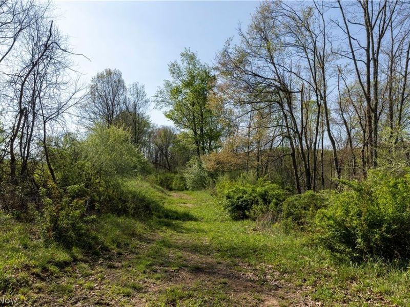 80960 Burkhart Road, Tippecanoe, OH 44699 Photo 41