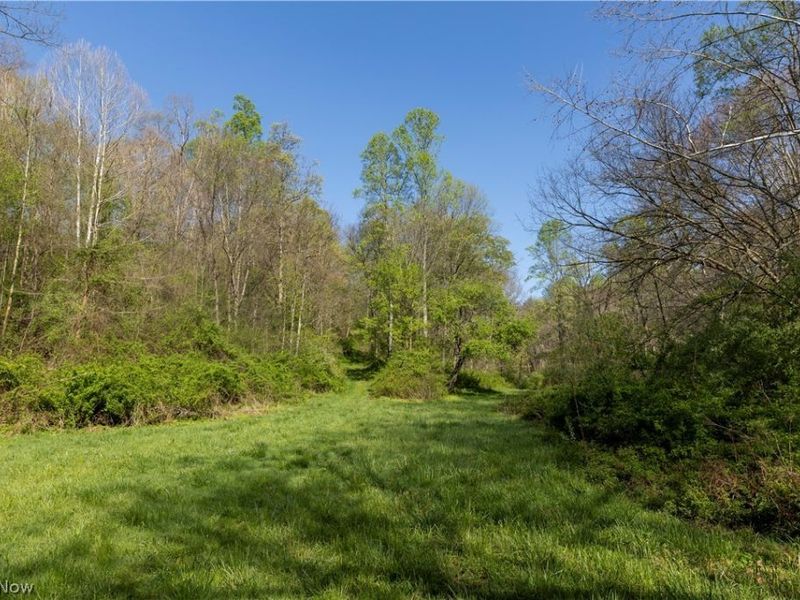 80960 Burkhart Road, Tippecanoe, OH 44699 Photo 42