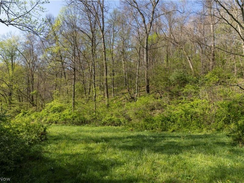 80960 Burkhart Road, Tippecanoe, OH 44699 Photo 44