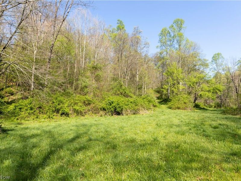 80960 Burkhart Road, Tippecanoe, OH 44699 Photo 45