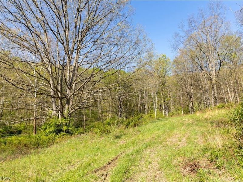 80960 Burkhart Road, Tippecanoe, OH 44699 Photo 47