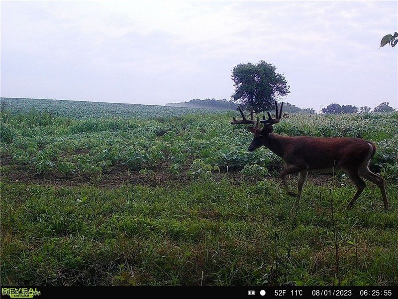 80960 Burkhart Road, Tippecanoe, OH 44699 Photo 9