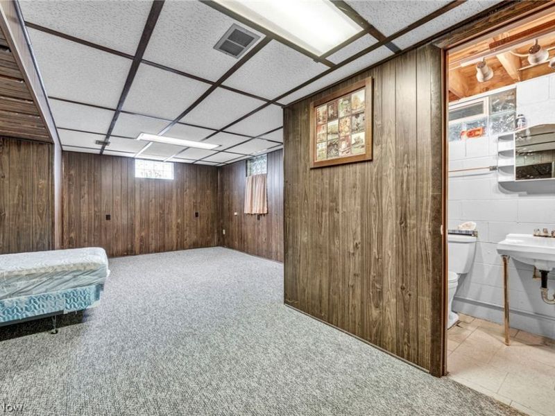 3446 Niles Carver Road, Mineral Ridge, OH 44440 Photo 34