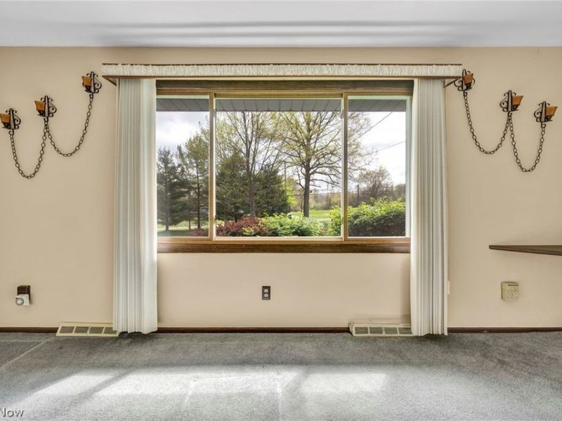 3446 Niles Carver Road, Mineral Ridge, OH 44440 Photo 7