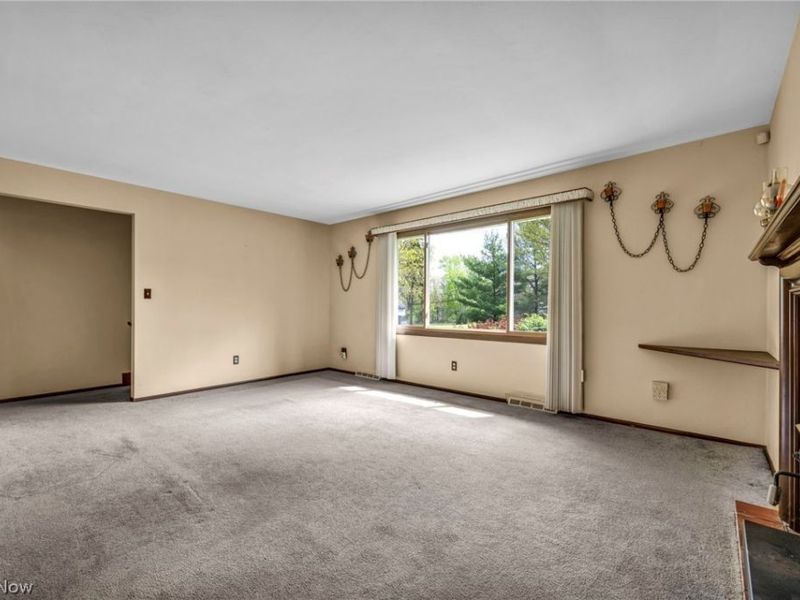 3446 Niles Carver Road, Mineral Ridge, OH 44440 Photo 8