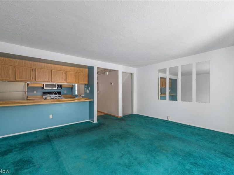 106 Maria Drive, Bedford, OH 44146 Photo 13