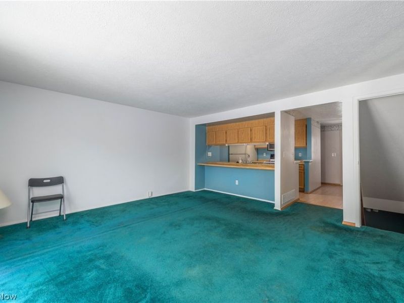 106 Maria Drive, Bedford, OH 44146 Photo 15