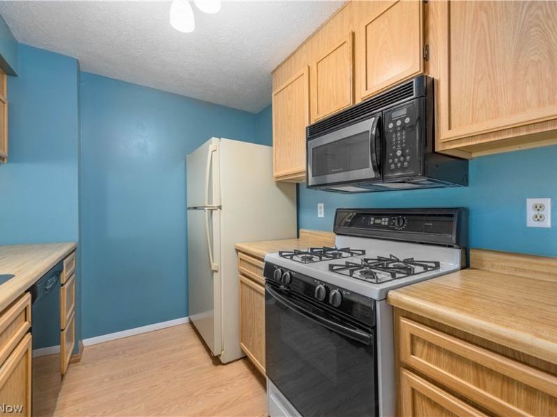 106 Maria Drive, Bedford, OH 44146 Photo 5