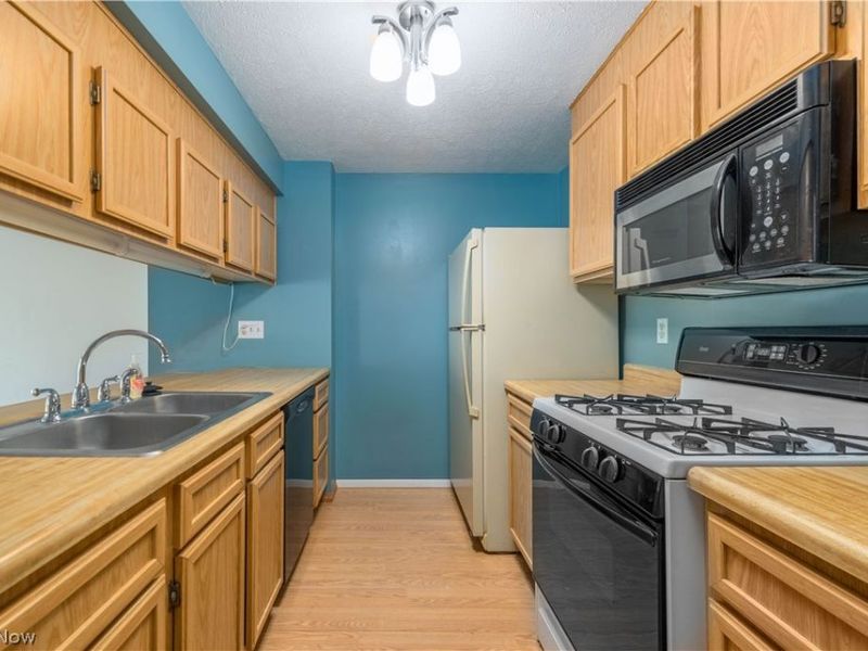 106 Maria Drive, Bedford, OH 44146 Photo 6