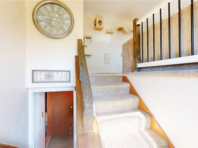 240 Rex Avenue, Wintersville, OH 43953 Photo 5