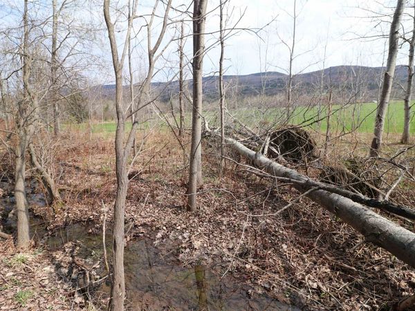 600 Woods Road South Road, Warren, VT 05674