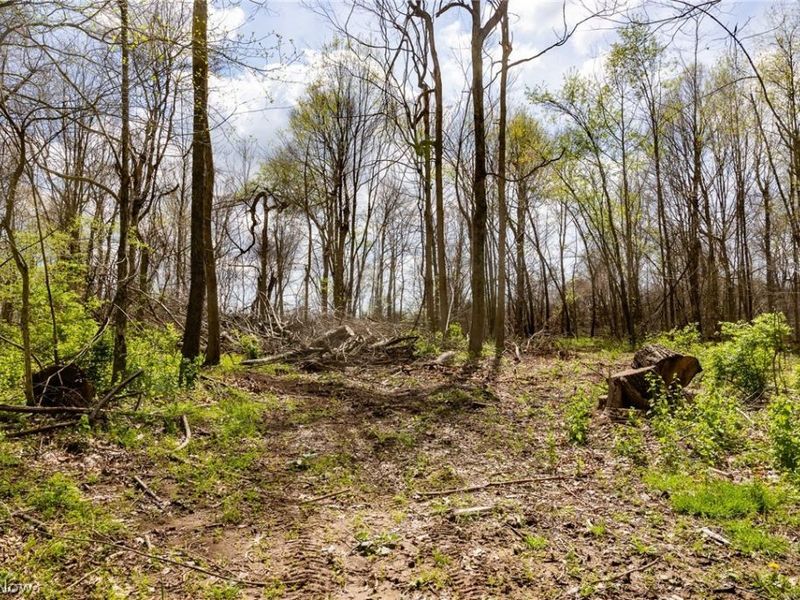 105 W Hanley Road, Mansfield, OH 44904 Photo 11