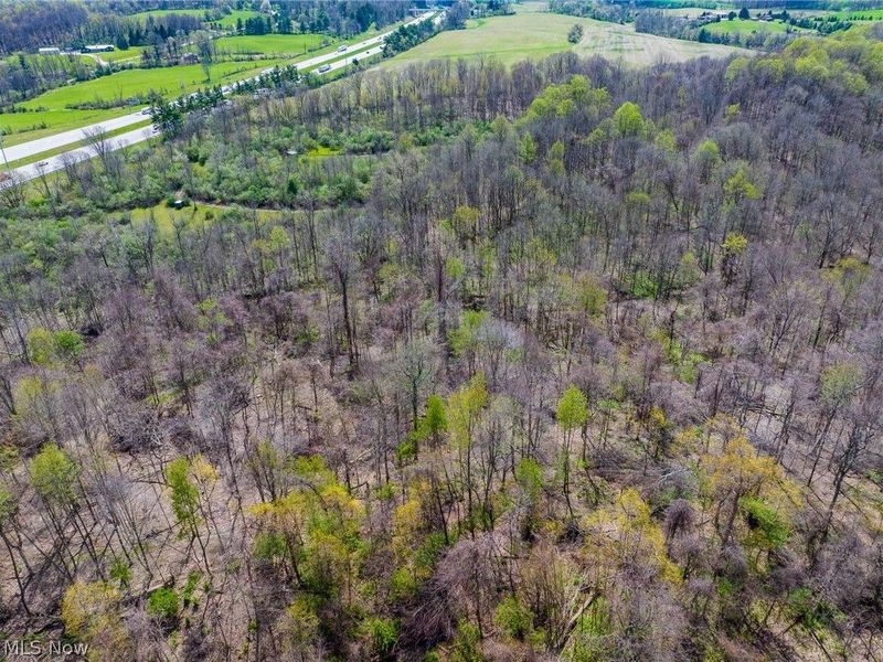 105 W Hanley Road, Mansfield, OH 44904 Photo 3