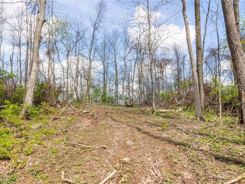 105 W Hanley Road, Mansfield, OH 44904 Photo 5