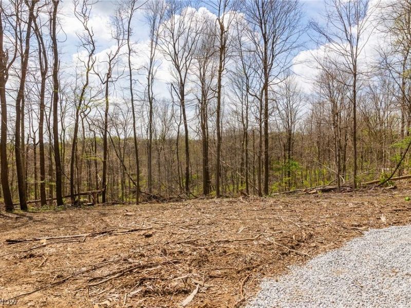 105 W Hanley Road, Mansfield, OH 44904 Photo 7