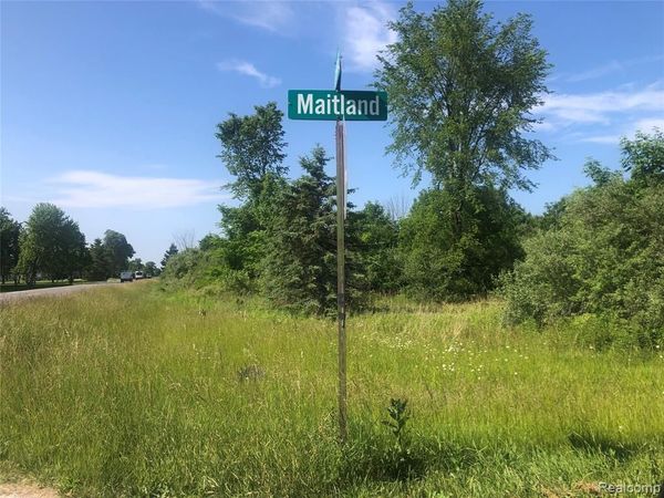 Parcel 1-4 Maitland Road, Clyde Twp, MI 48049