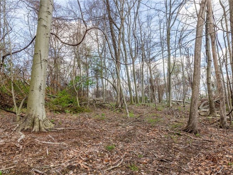 105 W Hanley Road, Mansfield, OH 44904 Photo 1