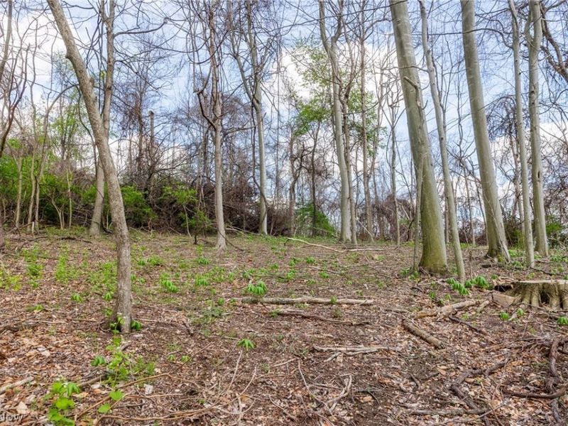 105 W Hanley Road, Mansfield, OH 44904 Photo 2