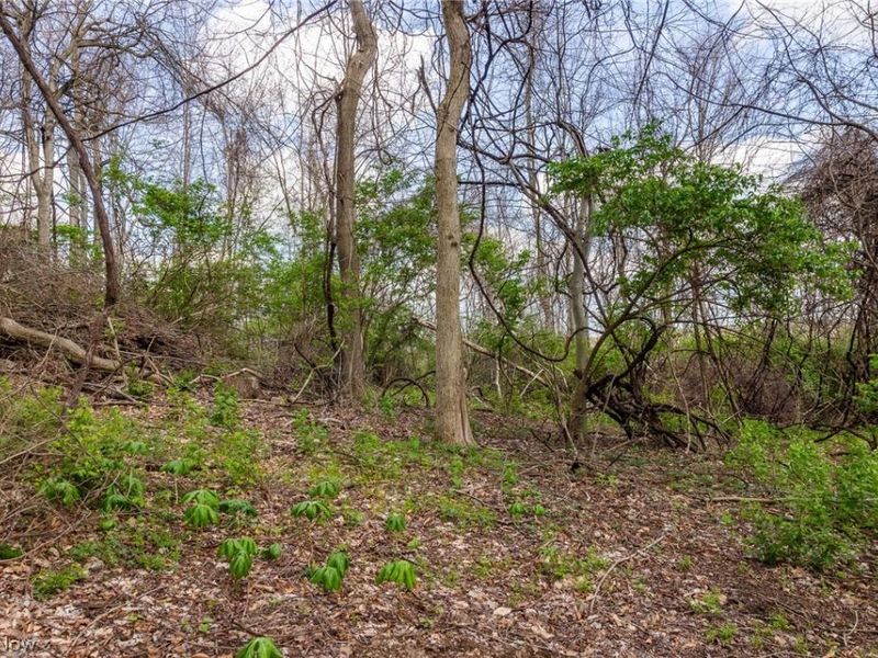 105 W Hanley Road, Mansfield, OH 44904 Photo 4