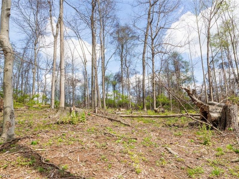 105 W Hanley Road, Mansfield, OH 44904 Photo 5