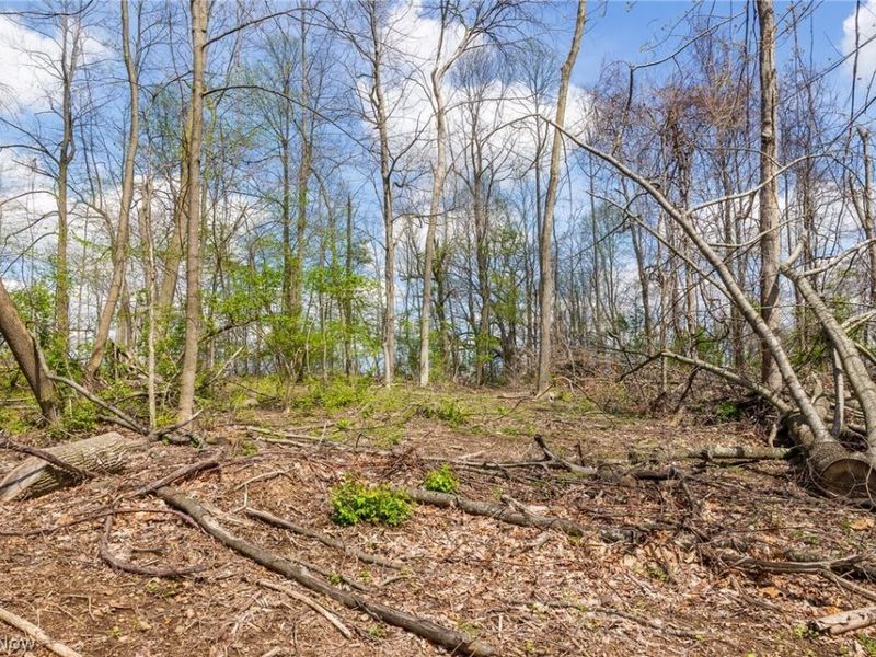 105 W Hanley Road, Mansfield, OH 44904 Photo 7